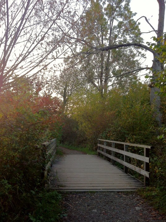 walk in autumn