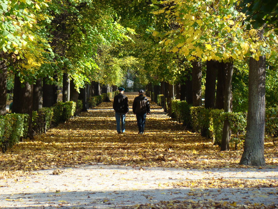 Walk in the Park