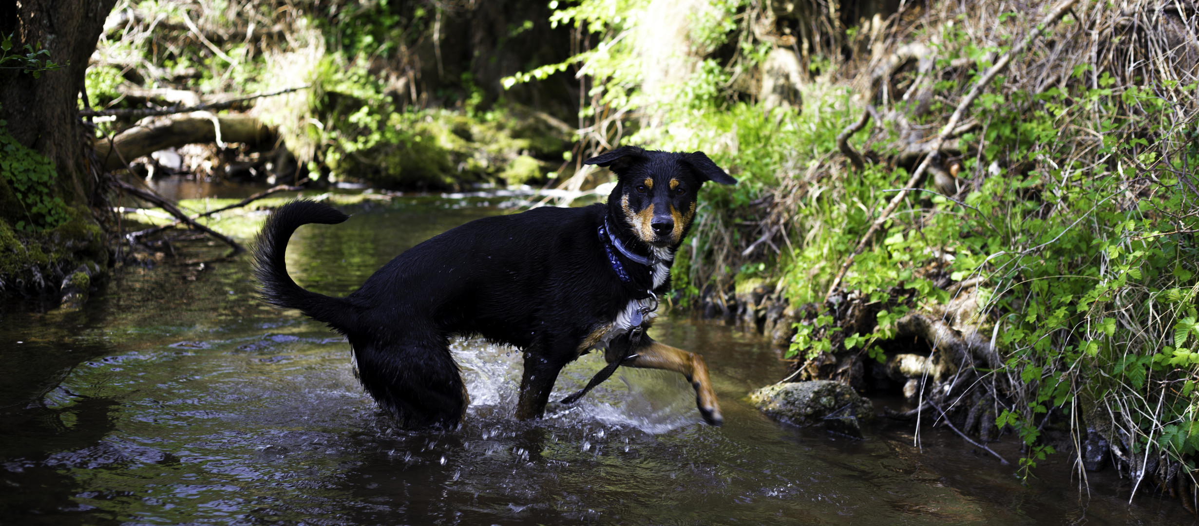 walk in the water^^