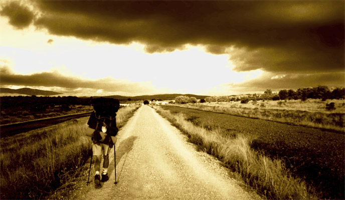 Walk into the Light - Camino de Santiago