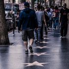 Walk Of Fame