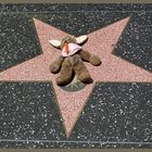 Walk of Fame