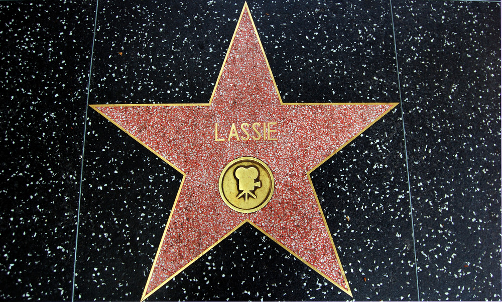 Walk of fame -