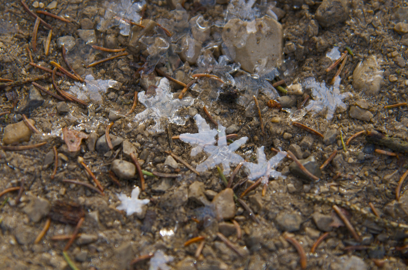 Walk of Fame in den Weißach Auen