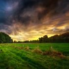 Walk on a green field