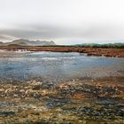 Walk on a marsh 3