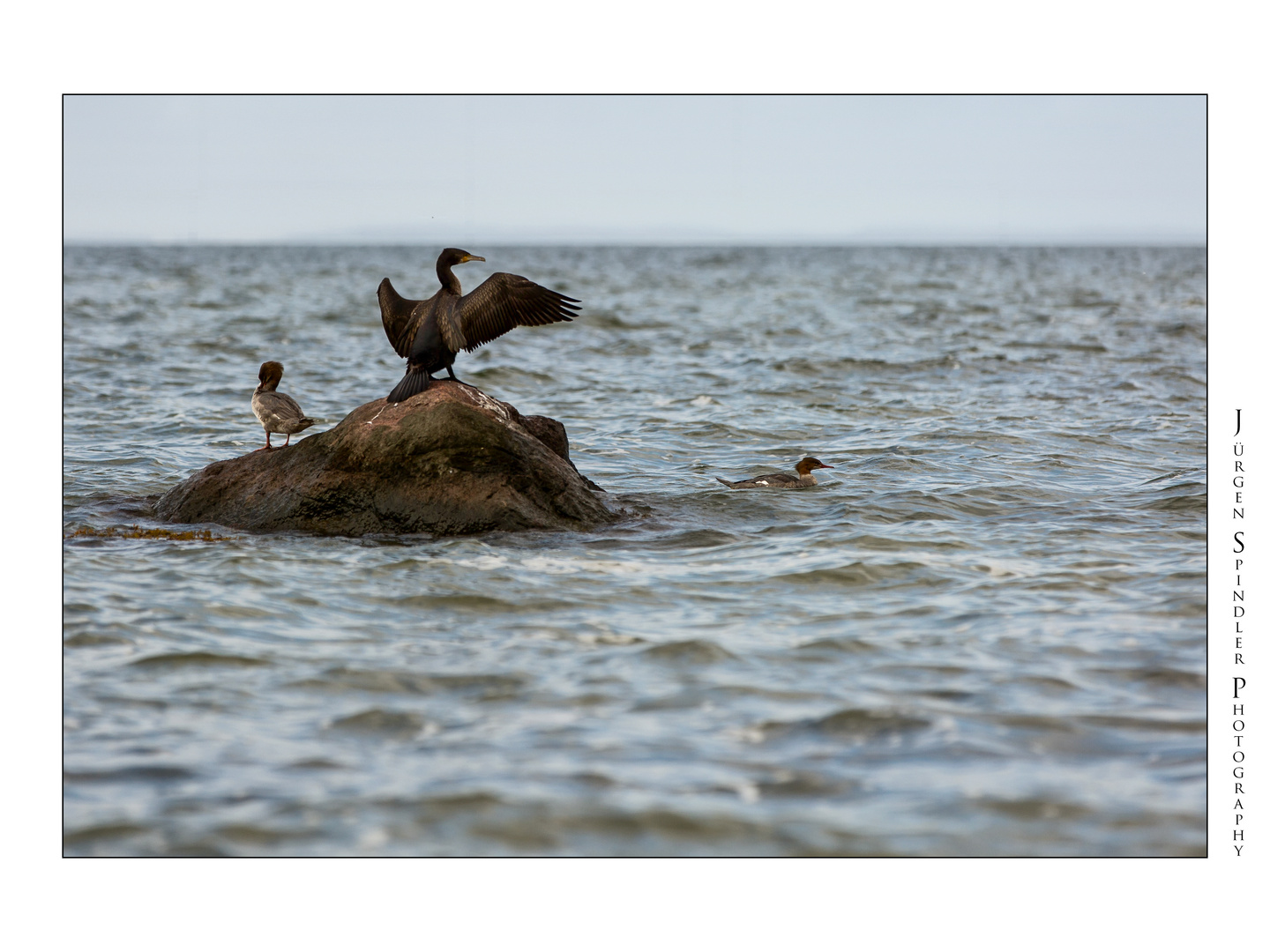 Walk on the Baltic Sea #05