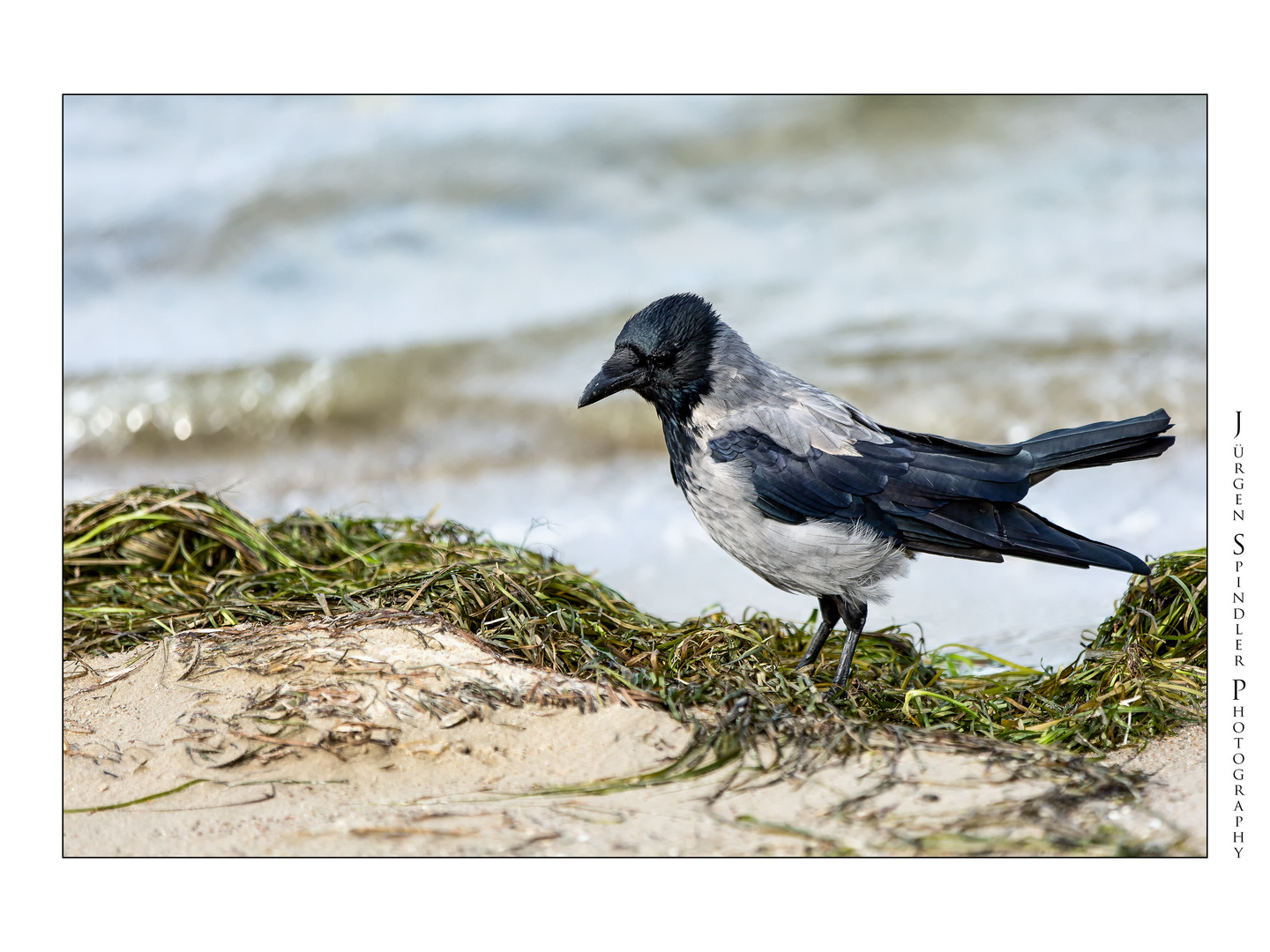 Walk on the Baltic Sea #15