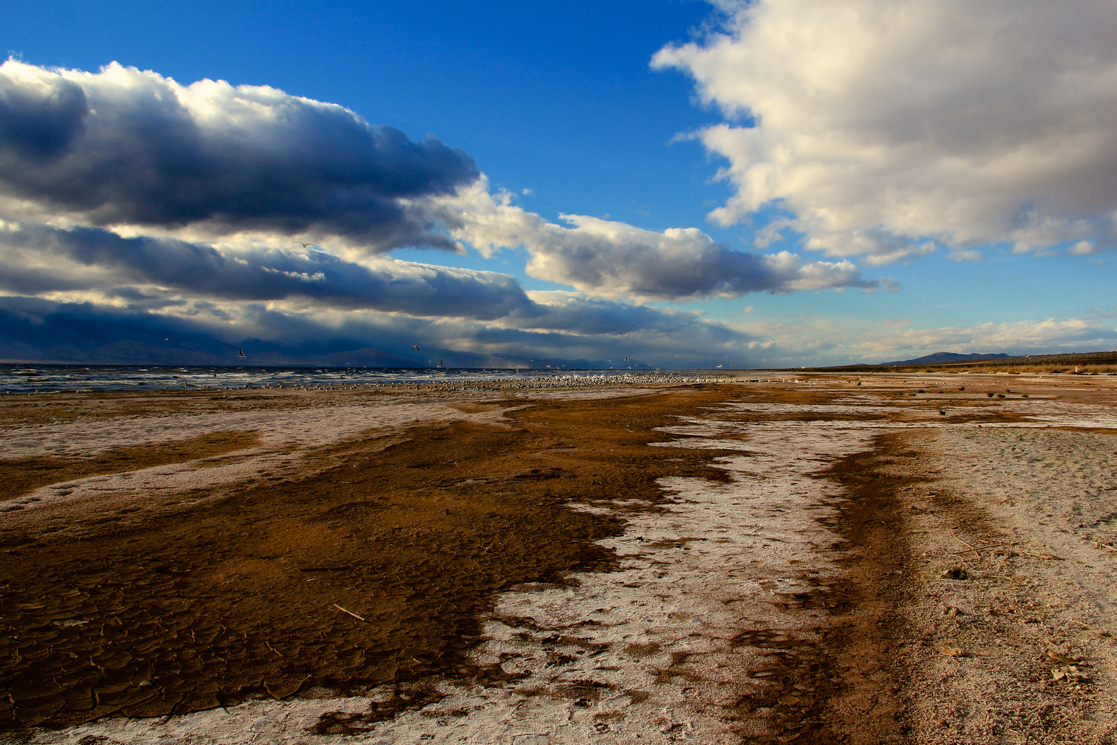 walk on the bay