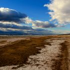 walk on the bay