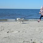 walk on the beach