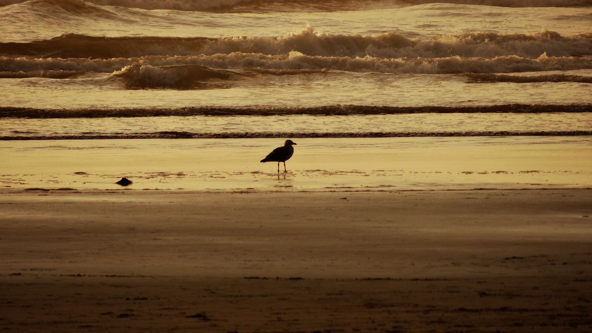 Walk on the beach