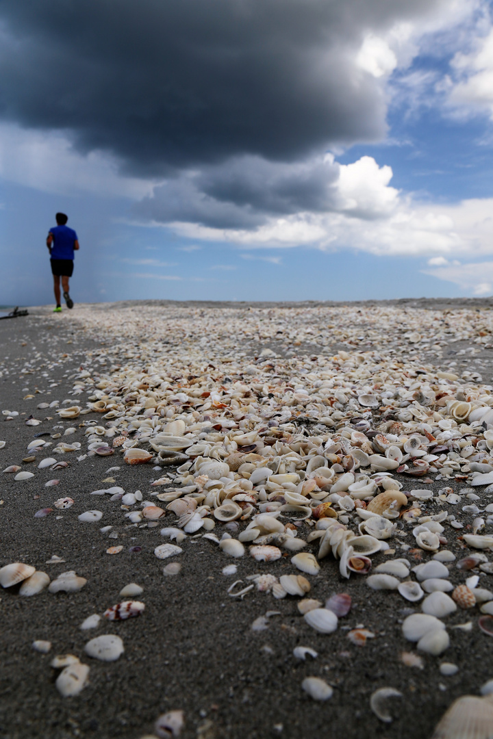 walk on the beach 