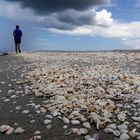 walk on the beach 