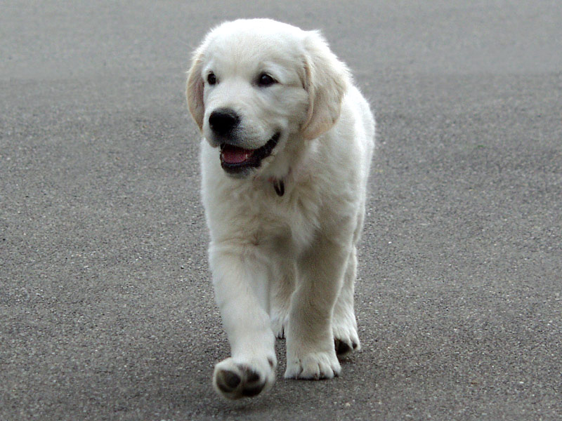 walk on the street