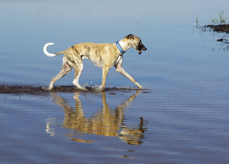 walk on the water