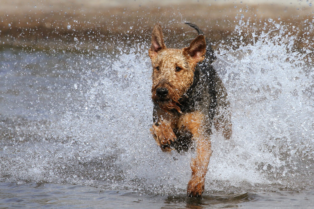 walk - over water ...