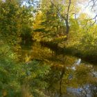 walk through autumn landscape