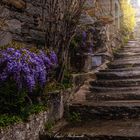 Walk through Spain. Rupit i Pruit. City of witches.