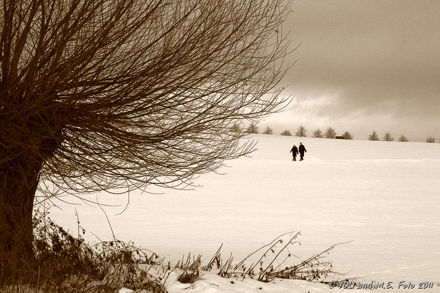 Walk through the Fields...