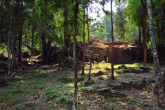 Walk through the jungle on Phnom Kulen