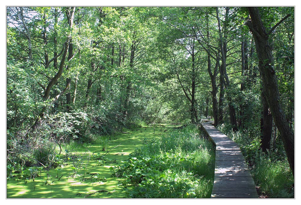 walk to a lookout point