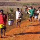 Walk to the market in Orissa