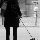 walk with dog