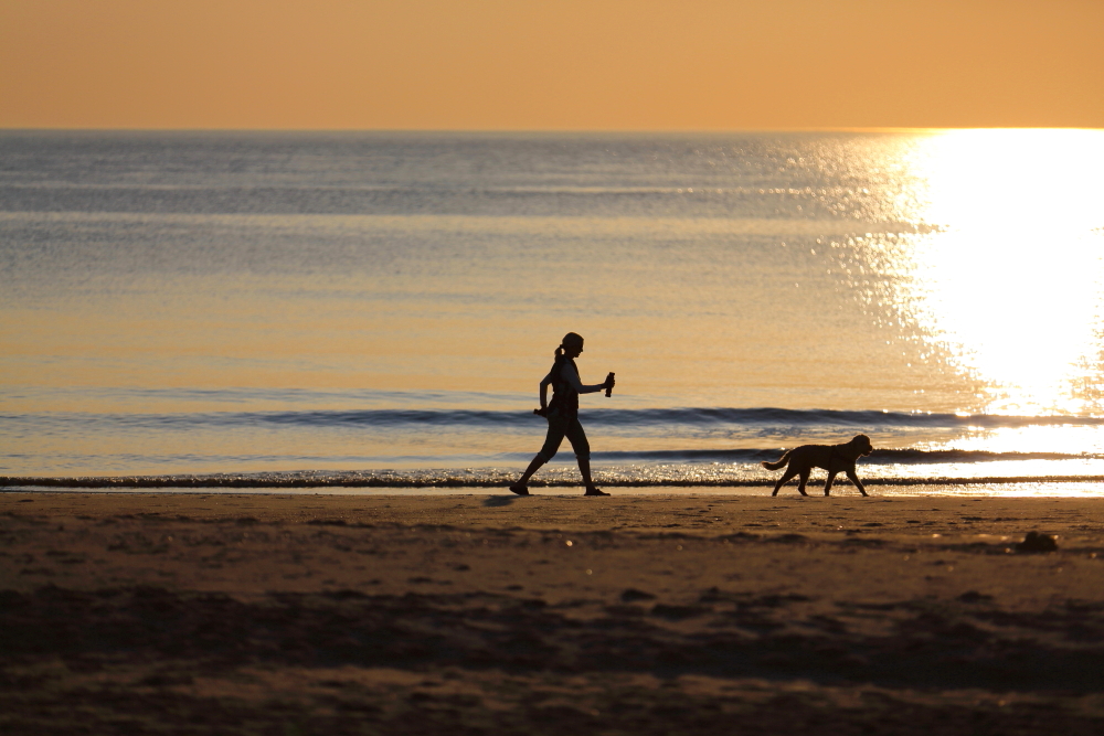 Walkerin mit Hund vor dem Roten Kliff