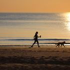 Walkerin mit Hund vor dem Roten Kliff