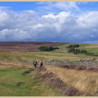 walkers 2 near pennypie house