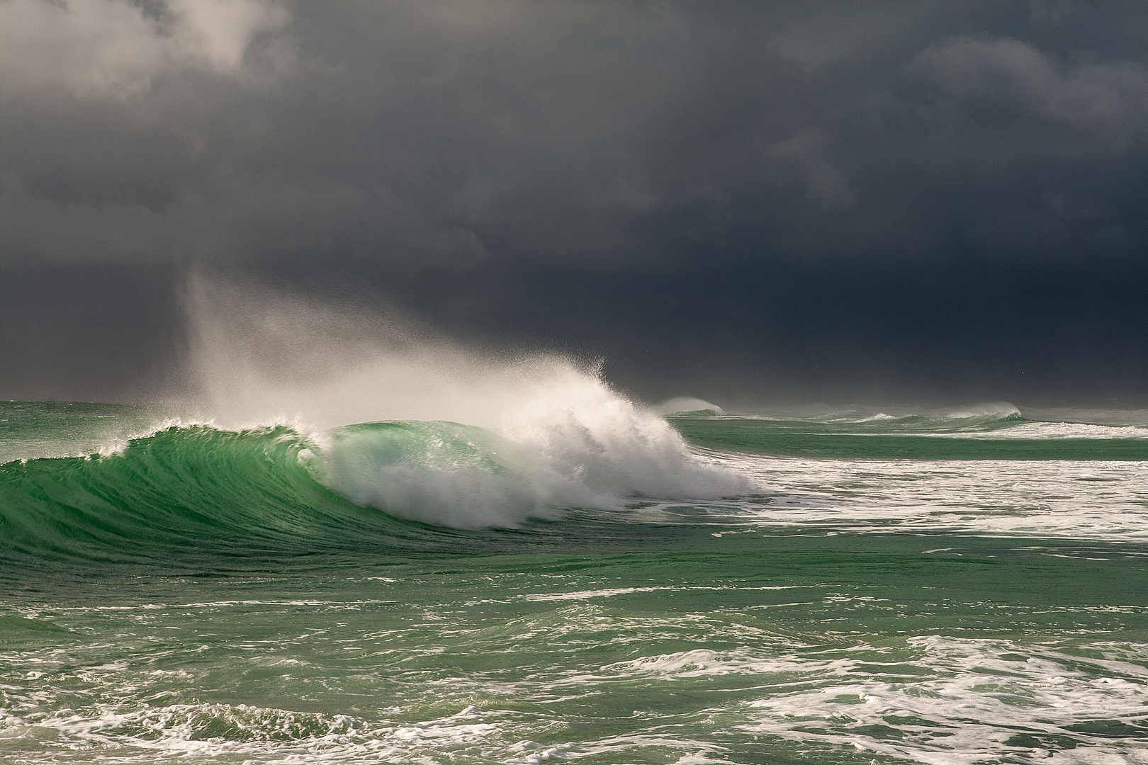 Walkers Bay (3)