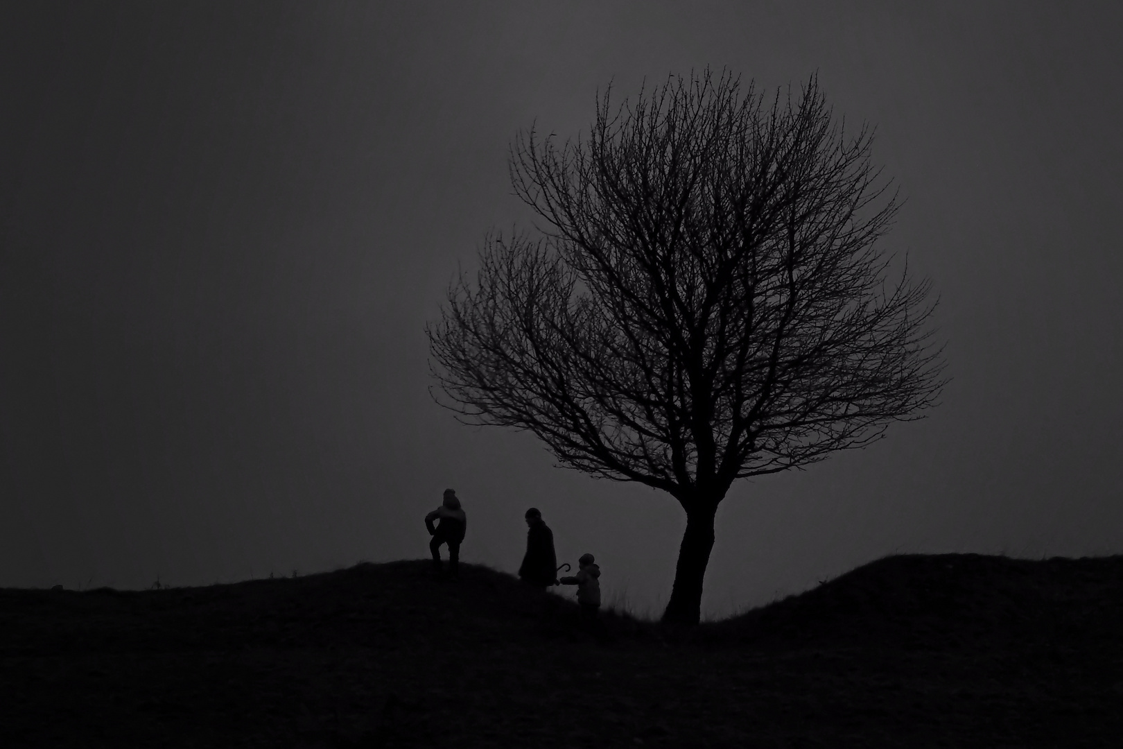 Walkers in a dangerous time Foto & Bild fotos, outdoor, baum Bilder