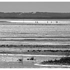 walkers on the pilgrims way Holy island 4