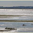 walkers on the pilgrims way Holy island 5