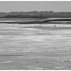 walkers on the pilgrims way Holy island 6