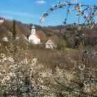 Walkersbrunner Kirche