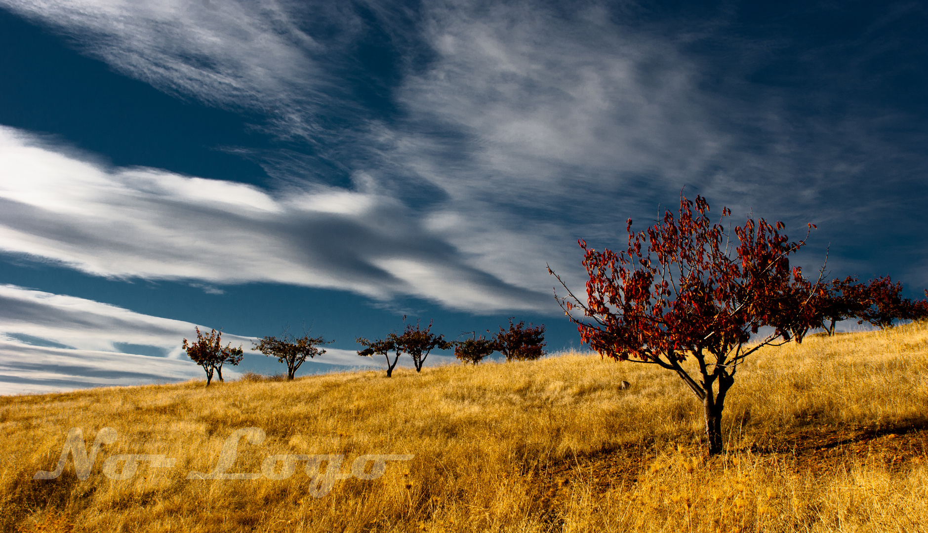 WALKing ALONE, Autumn things