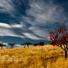 WALKing ALONE, Autumn things