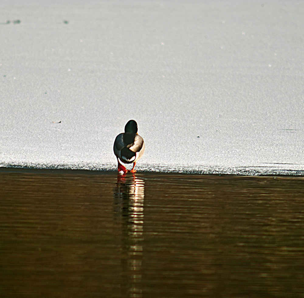 Walking alone