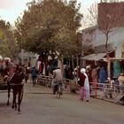 Walking along a road in Herat