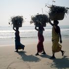 Walking along the beach