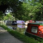 Walking along the canal