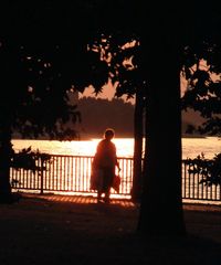 walking along the rhine