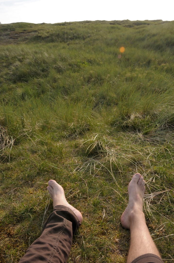 walking AMELAND