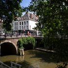 Walking an der Gracht 01