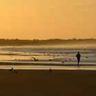 walking at sea