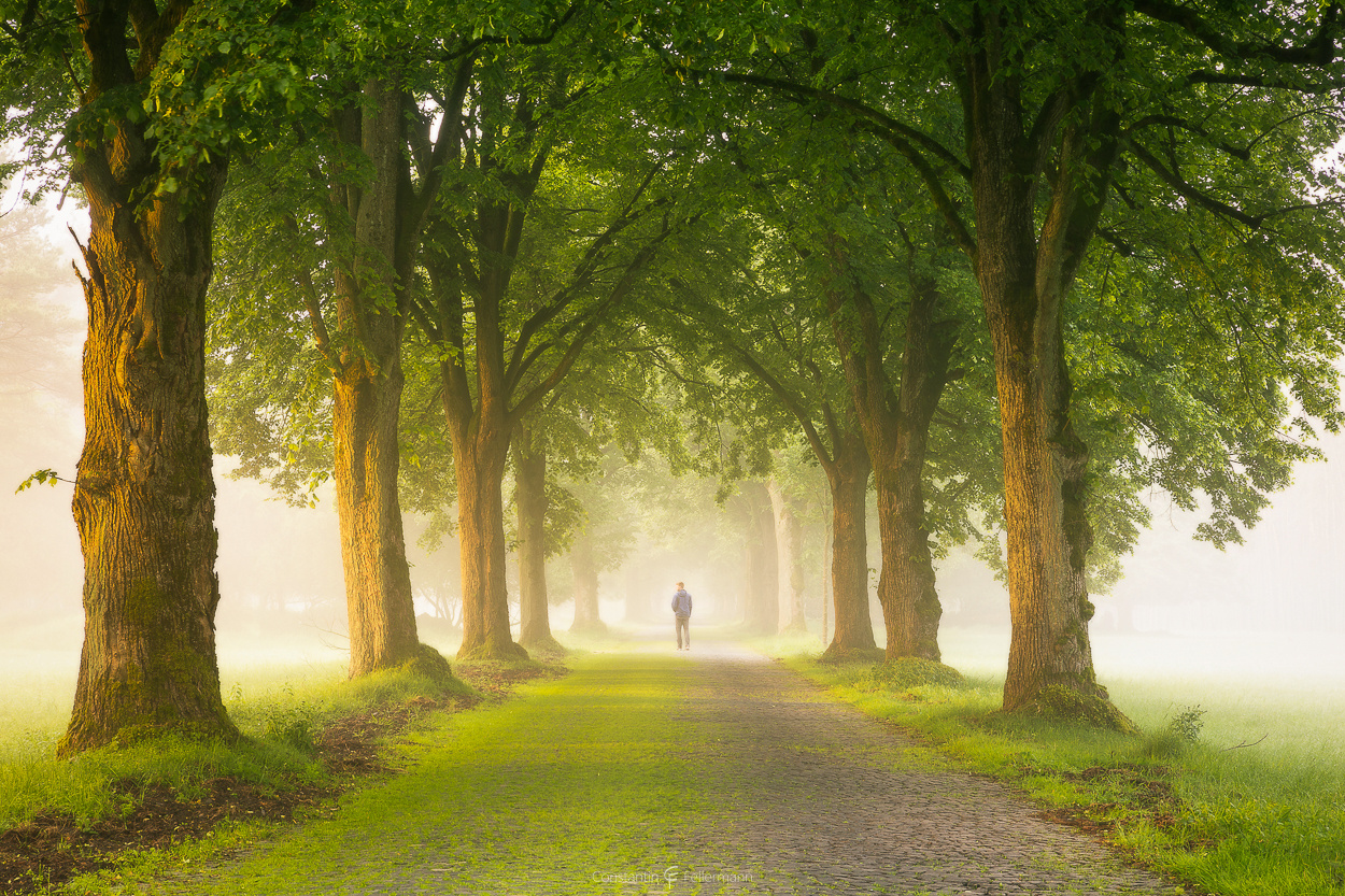 Walking down the Avenue