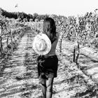 Walking down the vines