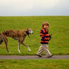 walking his dog